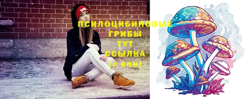 Галлюциногенные грибы Cubensis  сколько стоит  Белая Калитва 